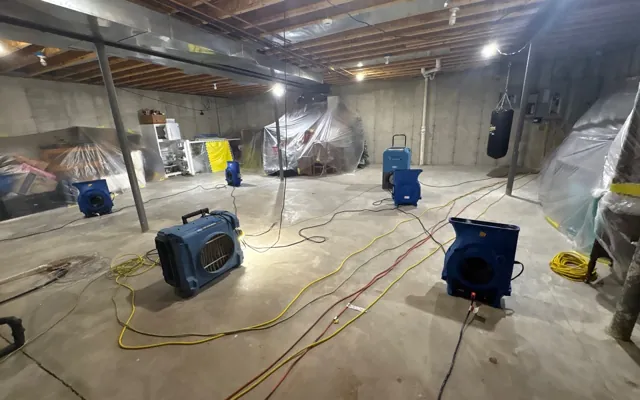 Basement Flood Cleanup in a Phoenix home