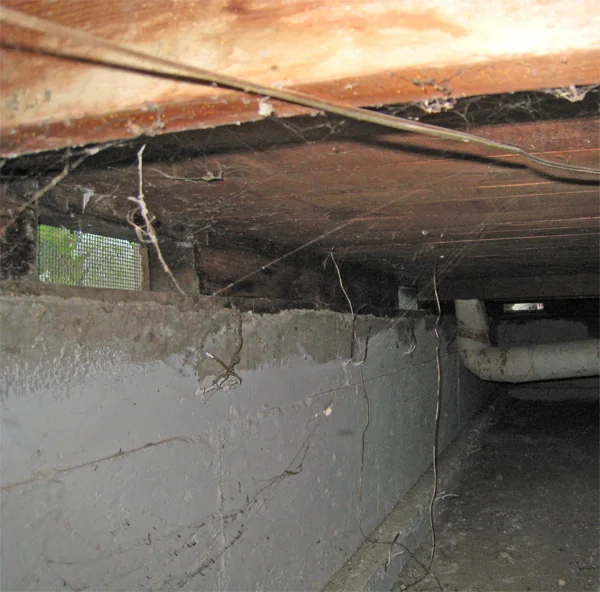 Crawlspace Water Removal in a Phoenix home