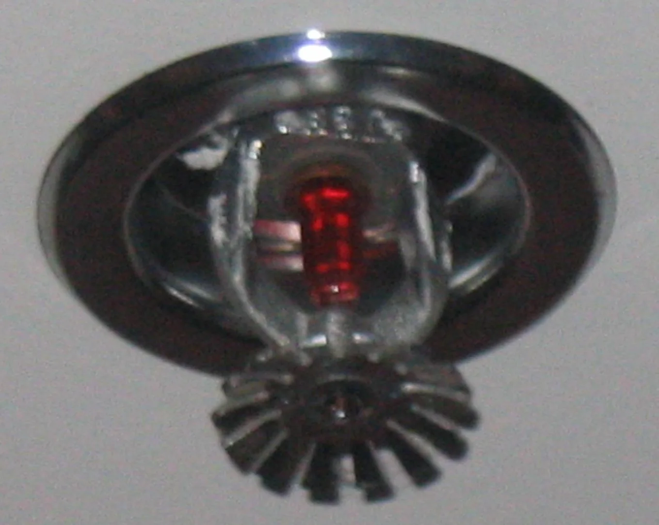 Fire Sprinkler Discharge in a Phoenix home