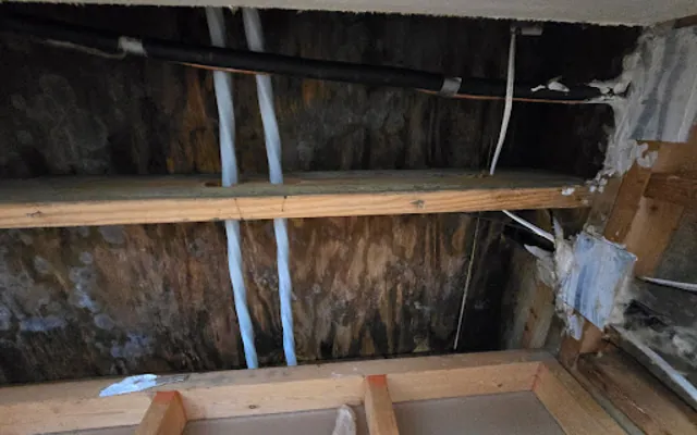 Attic Water Damage in a Phoenix home
