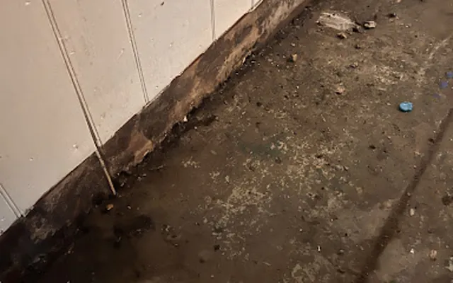 Toilet Overflow in a Phoenix home